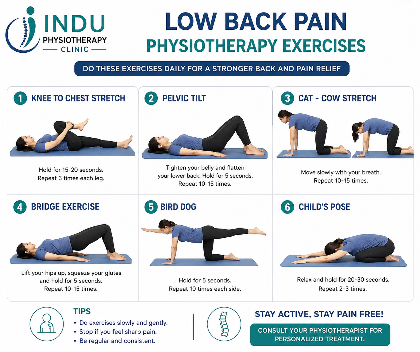 low back pain physiotherapy exercise